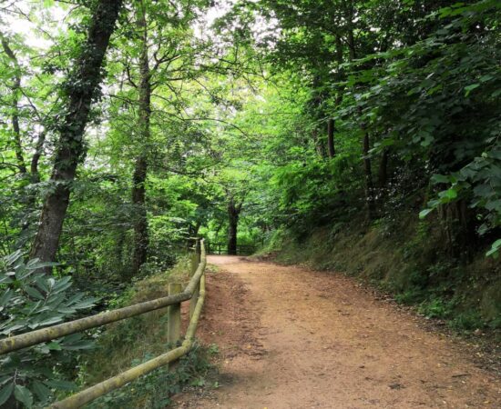 Ruta guiada a la Font del Pic i la Font Vella