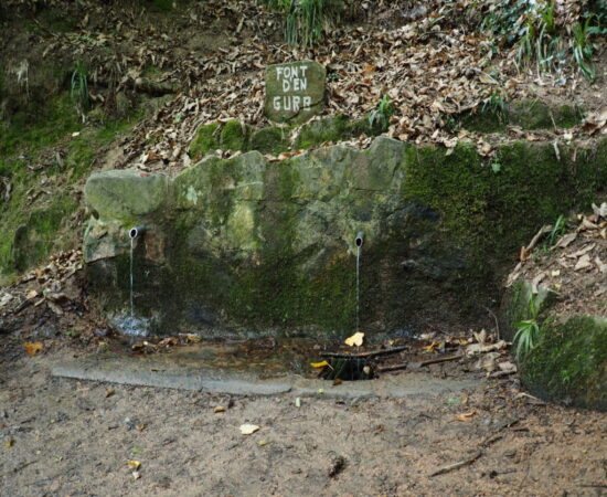 RUTA GUIADA A LA FONT D’EN GURB