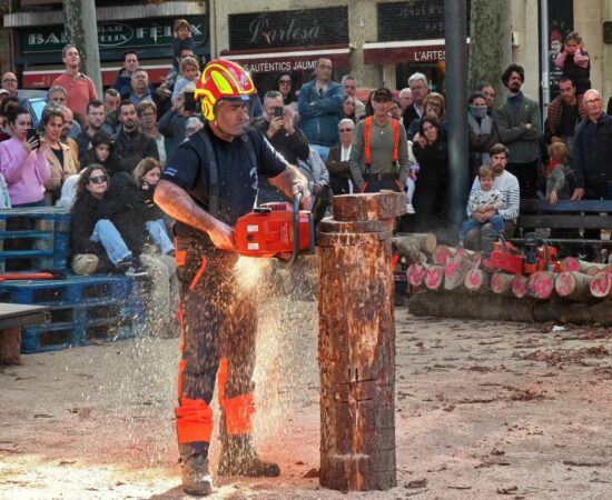 54a Tallada de troncs – Memorial Salvador Gispert