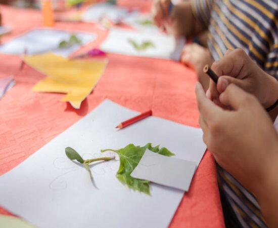 Taller infantil de titelles de dit